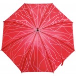 Umbrellas
